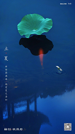 哪吒少女又离开地产了采集到立夏节气