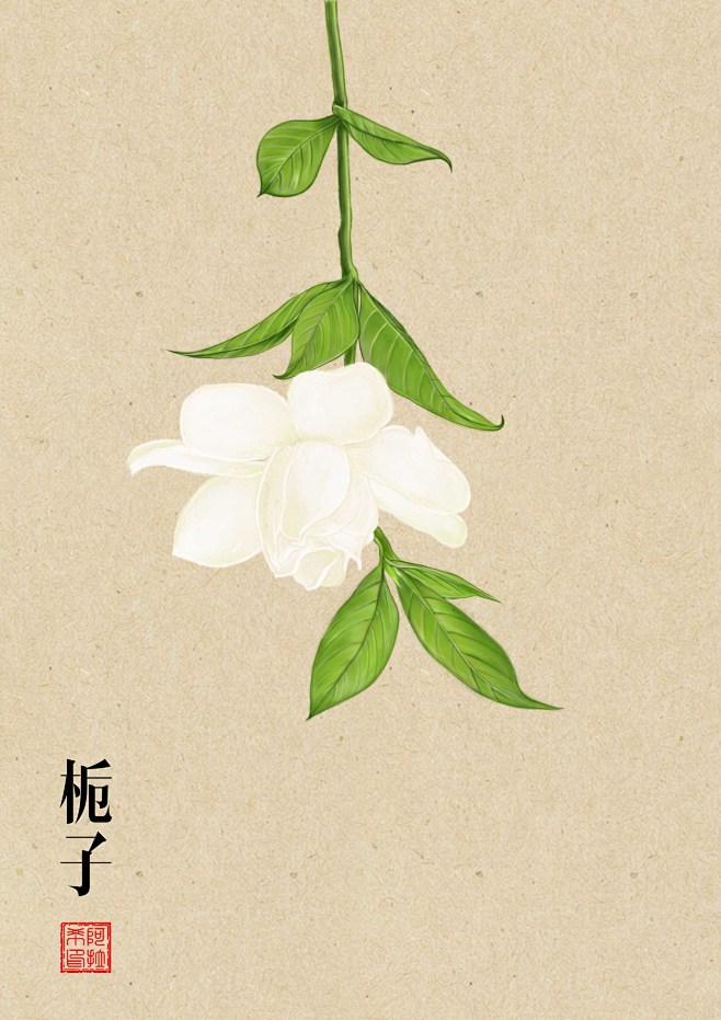 栀子花