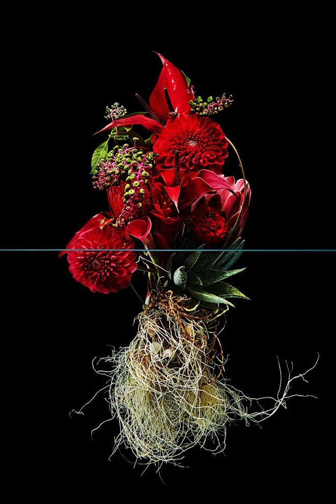 日本的东信花树研究所（Azuma Mak...