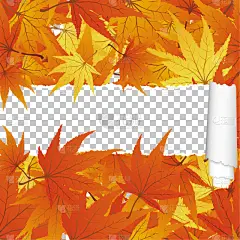 撕破的,条纹,秋天,枫树,四方连续纹样,华丽的,十月,纺织品,壁纸,植物