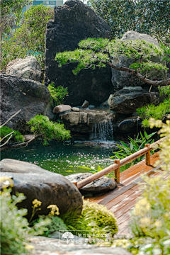 JYn_n采集到水景
