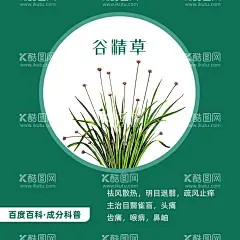中草药谷精草中药草本植物  - 源文件下载【酷图网】中药,中草药,草本植物,植物,手绘,草药,中医,谷精草,中药材,PSD,RGB