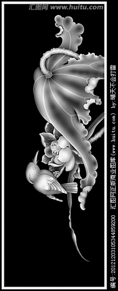friendgao采集到荷蛙