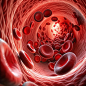 Red blood cells flowing through vein Human body