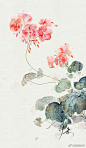 凑十了！水彩小花系列#水彩花卉# #水彩植物# #每日一画# ​​​​