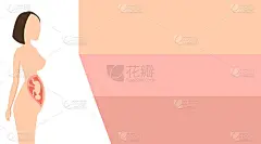 胎儿成形的孕妇怀孕的维持。矢量设计的妇产科医生的名片，横幅为一个妇女的咨询。