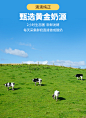 西班牙进口幼儿酸奶me milk吸吸乐1岁婴儿童无宝宝零食添加memilk-淘宝网