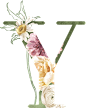 水彩清新花卉植物LOGO图标婚礼海报装饰透明免抠PNG图案装饰素材 (1)