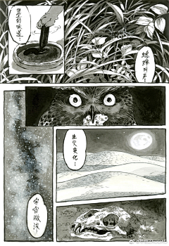 貓爺！采集到早稻