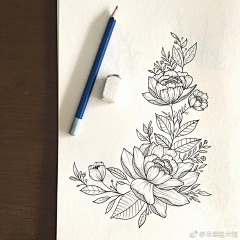 沐言绘采集到手绘-线描（花卉）