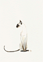 Siamese cat etsy