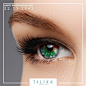 #talika | Tofo.me · Instagram网页版