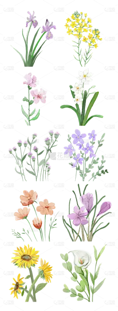 2309SC-素材组合-水彩花卉植物贴纸