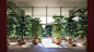 87 Park by Renzo Piano Building Workshop