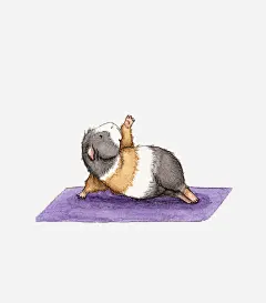 小豚鼠瑜伽可爱插画免抠素材 页面网页 平面电商 创意素材 png素材
