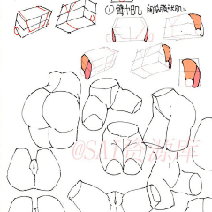 大鹅哈哈采集到小动物