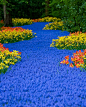 Keukenhof Gardens, Netherlands: 