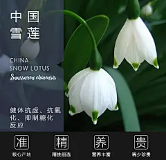 设计师：柏林十三
微信号：nian792045221
约设计请联系上面微信。
#设计，排版设计，广告海报，海报宣传,品牌设计，品牌形象设计，网站设计，微商品牌设计
