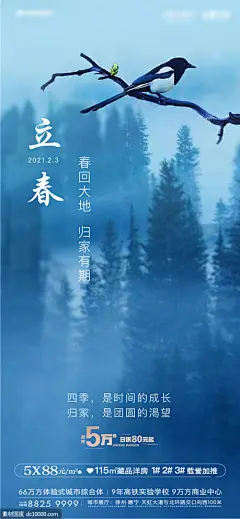 源文件下载 立春 地产 节气 立春 24节气 蓝色 花鸟