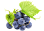 @冒险家的旅程か★
png水果元素 果蔬 蔬菜水果 树莓png 蓝莓png