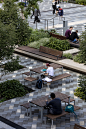 Macquarie University Central Courtyard : A new mass public transportation system 