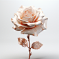 a 3D rose on the white clear background, in the style of 3D, C4d, vray material, on the white clear background