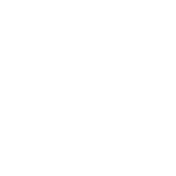 other_CPgt_wlt_176