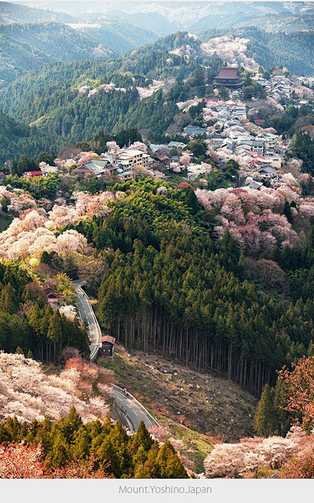日本--奈良县吉野山