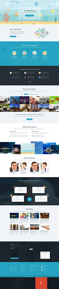 goodzero采集到web