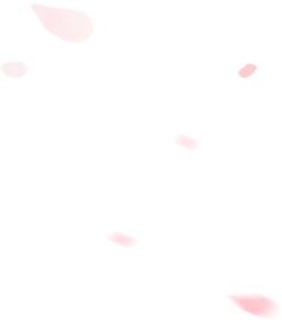 花瓣绿叶