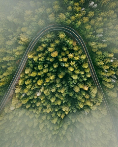 是小婉啊采集到风景 landscape