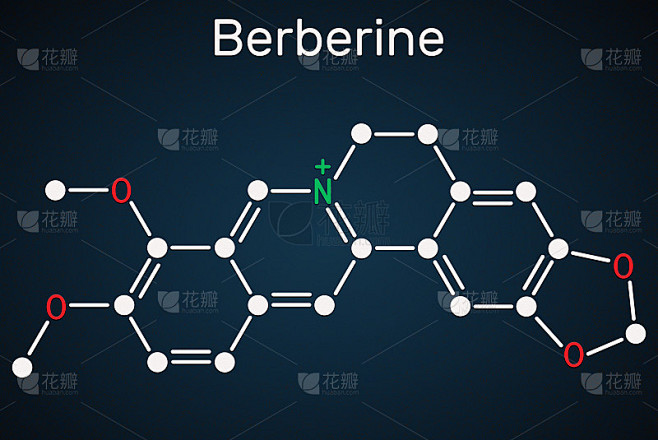 小檗碱C20H18NO4，草本生物碱分子。深蓝色背景上的结构化学式