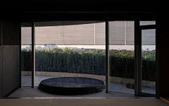 celosia采集到B-asian garden