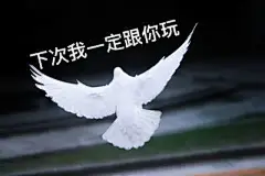 鸽子表情包_百度图片搜索