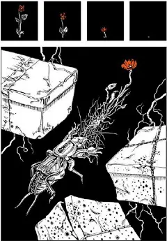 荷兰插画家 Kuba Woynarowski 创作的插画十分有特色，简单的黑、白、橙三色将纸上插画描绘得栩栩如生，画纸的留白处理让黑白两色更具对比，橙色的圆点、花纹点缀更是成为其作品的一大特色