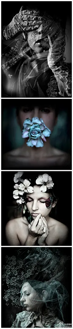【夜曲Nocturne——黑暗梦中盛开的花】 来自Kirsty Mitchell Kirsty Mitchell的作品 《Nocturne 2008-2009》 集成夜曲的这些画像，有愤怒有悲伤有挫败或高兴或幻想。