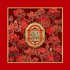 新星星月饼盒包装精美psd