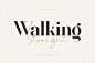 Walking Straight-经典衬线手写体-组合打包-英文字体下载-topimage