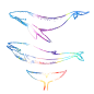 海洋 鲸鱼 PNG 水彩 星空 梦幻 唯美 小清新 手绘 水彩 手帐 插画 蓝鲸 炫彩 背景 免抠图PNG素材，更多素材尽在【点技能】