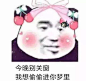 表情包<a class="text-meta meta-mention" href="/vc3vmqhku7/">@山下有温酒</a>
