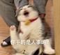表情包
