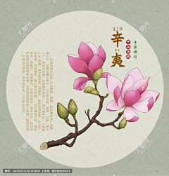用户MnyFkJXO采集到灵药