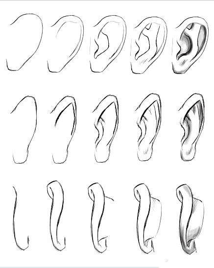 【耳朵手绘教程】手绘基础教程，找个时间练...
