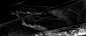 olya-bossak-