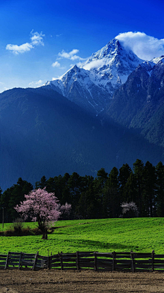 我是无敌小蝌蚪采集到风景背景-四季