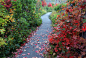 Photograph The Path by Christian Madsen on 500px