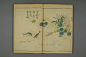 康熙40年芥子园画传22016
