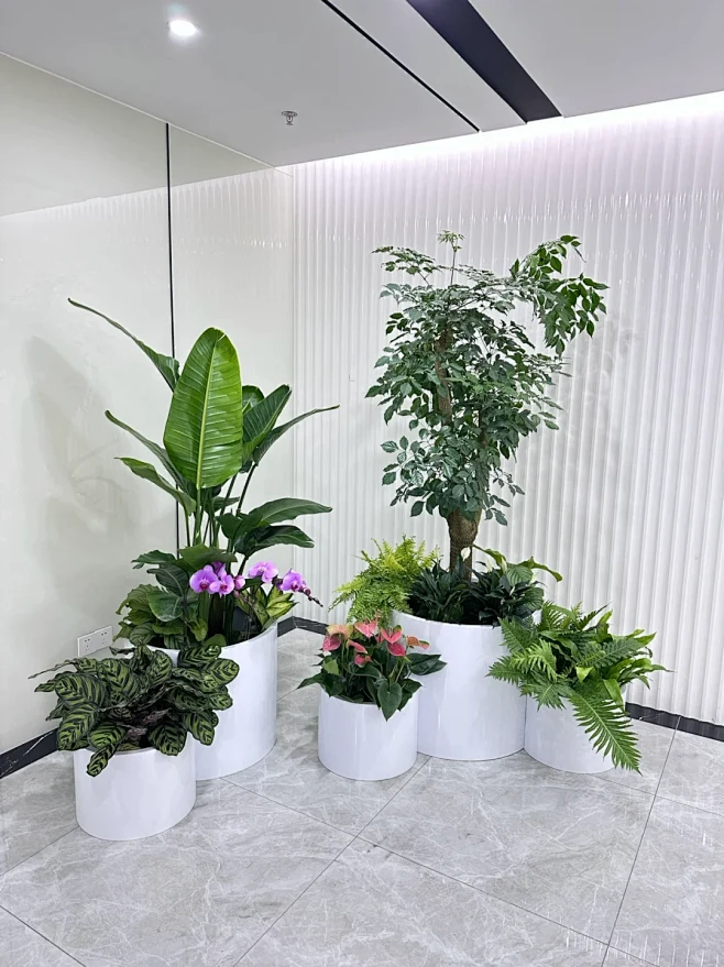 公司前台花箱实景，绿植组合景观搭配效-花瓣网