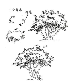 刀疤巧克力采集到教學-自然背景