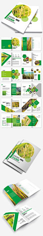 农产品绿色环保企业宣传画册
